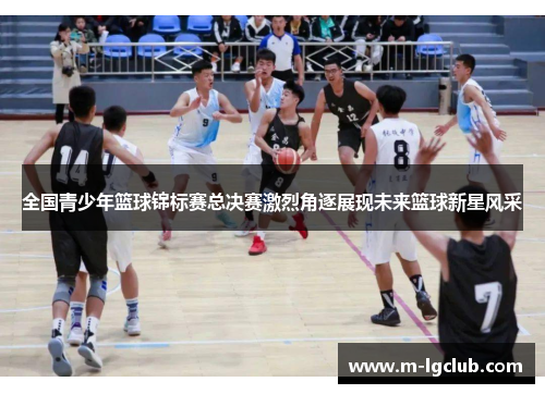 全国青少年篮球锦标赛总决赛激烈角逐展现未来篮球新星风采 全国青少年篮球锦标赛总决赛激烈角逐展现未来篮球新星风采