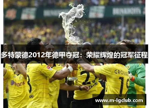 多特蒙德2012年德甲夺冠:荣耀辉煌的冠军征程 多特蒙德2012年德甲夺冠:荣耀辉煌的冠军征程