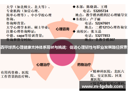 西甲球员心理健康支持体系现状与挑战：促进心理韧性与职业发展路径探索