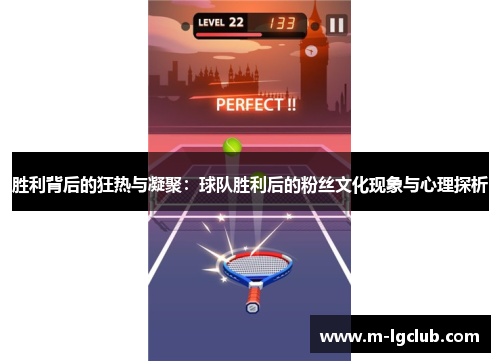 胜利背后的狂热与凝聚：球队胜利后的粉丝文化现象与心理探析