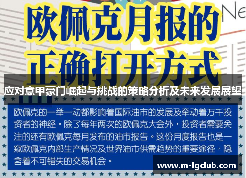 应对意甲豪门崛起与挑战的策略分析及未来发展展望