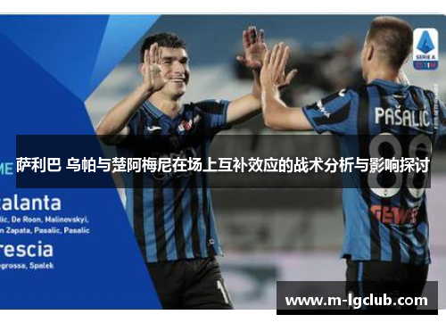 萨利巴 乌帕与楚阿梅尼在场上互补效应的战术分析与影响探讨