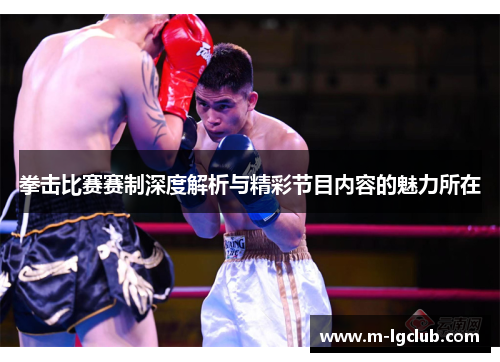 拳击比赛赛制深度解析与精彩节目内容的魅力所在 拳击比赛赛制深度解析与精彩节目内容的魅力所在