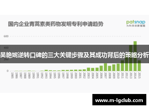 吴艳妮逆转口碑的三大关键步骤及其成功背后的策略分析