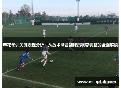 申花冬训关键表现分析：从战术磨合到球员状态调整的全面解读