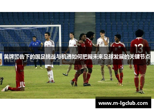 黄牌警告下的国足挑战与机遇如何把握未来足球发展的关键节点