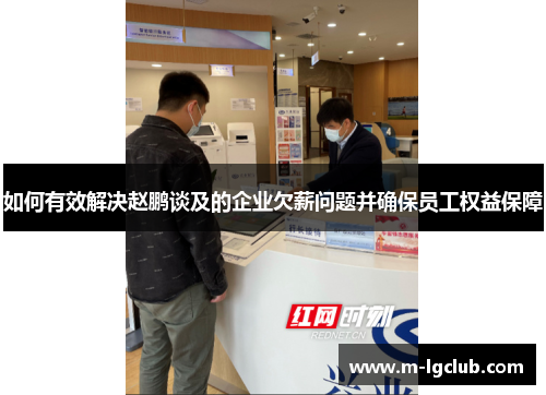 如何有效解决赵鹏谈及的企业欠薪问题并确保员工权益保障