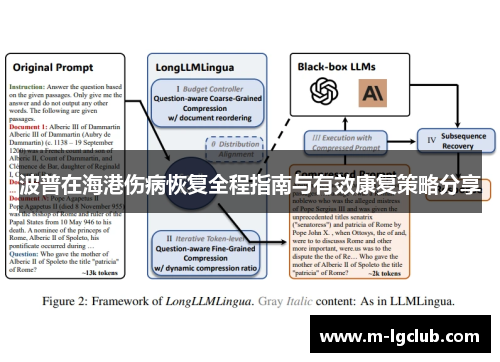 波普在海港伤病恢复全程指南与有效康复策略分享 波普在海港伤病恢复全程指南与有效康复策略分享