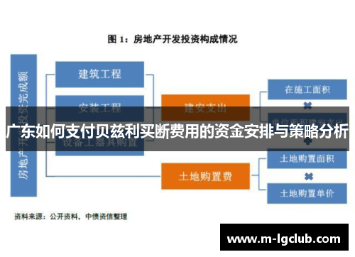 广东如何支付贝兹利买断费用的资金安排与策略分析