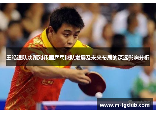 王皓退队决策对我国乒乓球队发展及未来布局的深远影响分析 王皓退队决策对我国乒乓球队发展及未来布局的深远影响分析