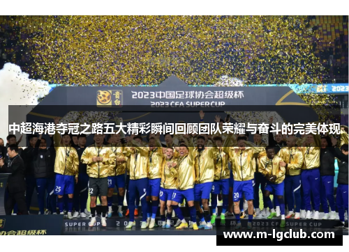 中超海港夺冠之路五大精彩瞬间回顾团队荣耀与奋斗的完美体现 中超海港夺冠之路五大精彩瞬间回顾团队荣耀与奋斗的完美体现