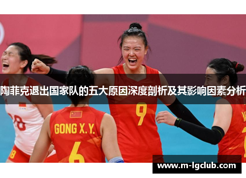 陶菲克退出国家队的五大原因深度剖析及其影响因素分析