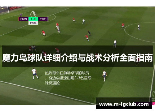 魔力鸟球队详细介绍与战术分析全面指南