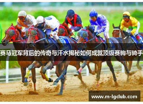 赛马冠军背后的传奇与汗水揭秘如何成就顶级赛驹与骑手